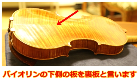 バイオリンの裏板